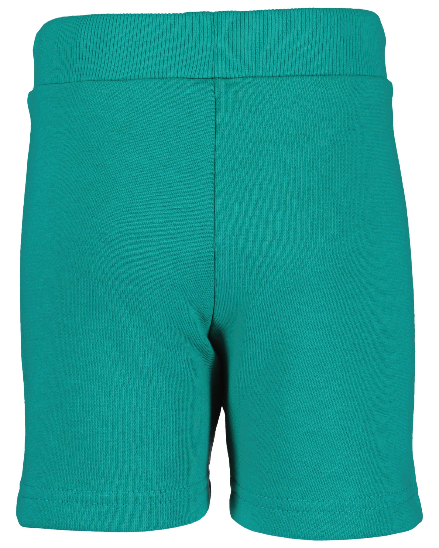 Blue Seven Boys Aqua Shorts