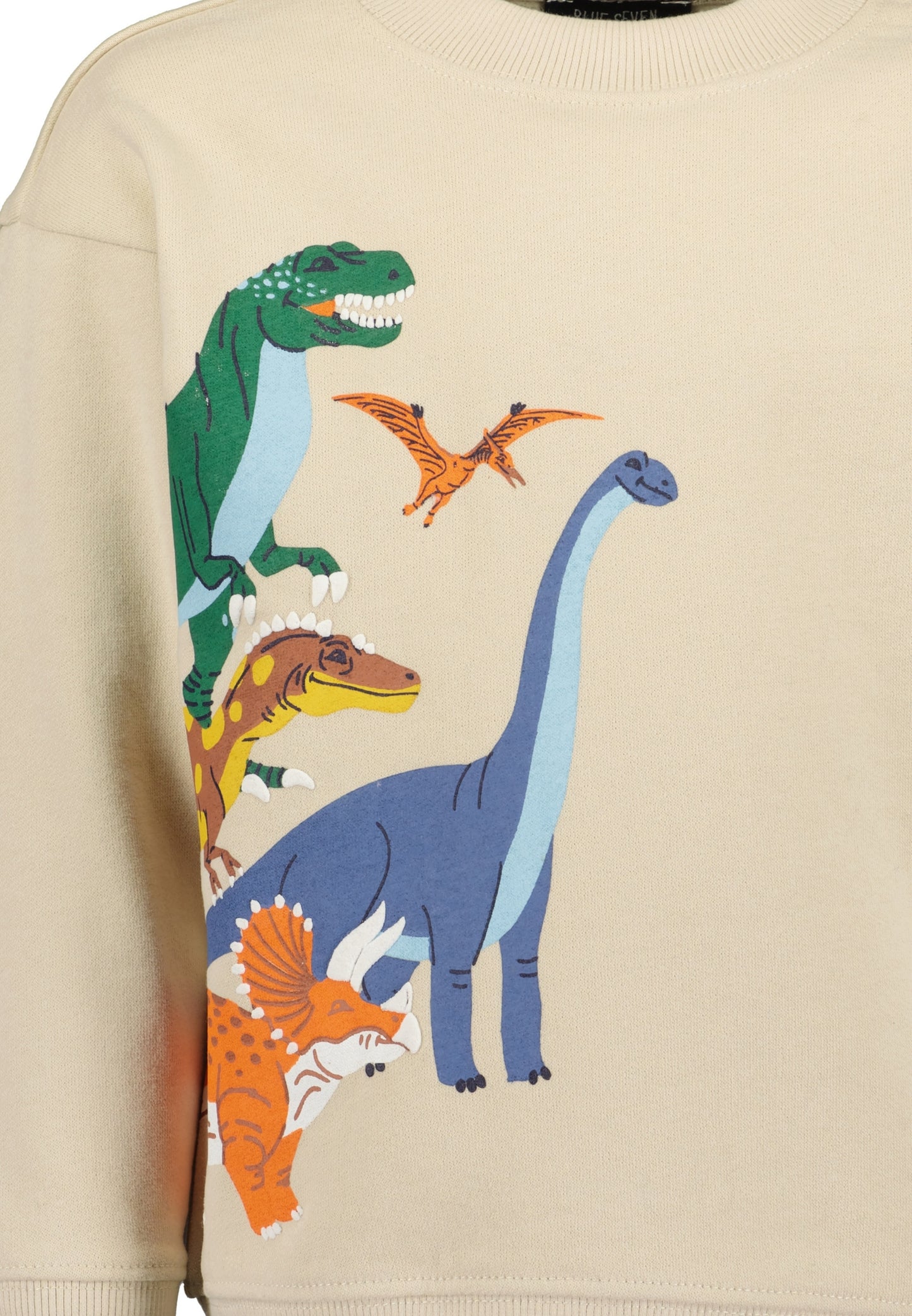 Harris Pebble Dino Sweatshirt